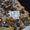 Sphalerite and fluorite - Elmwood Mine, Tennessee, United States