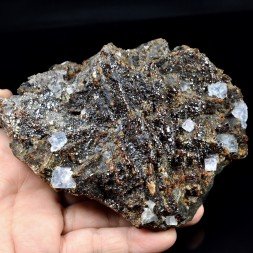Sphalerite and fluorite - Elmwood Mine, Tennessee, United States