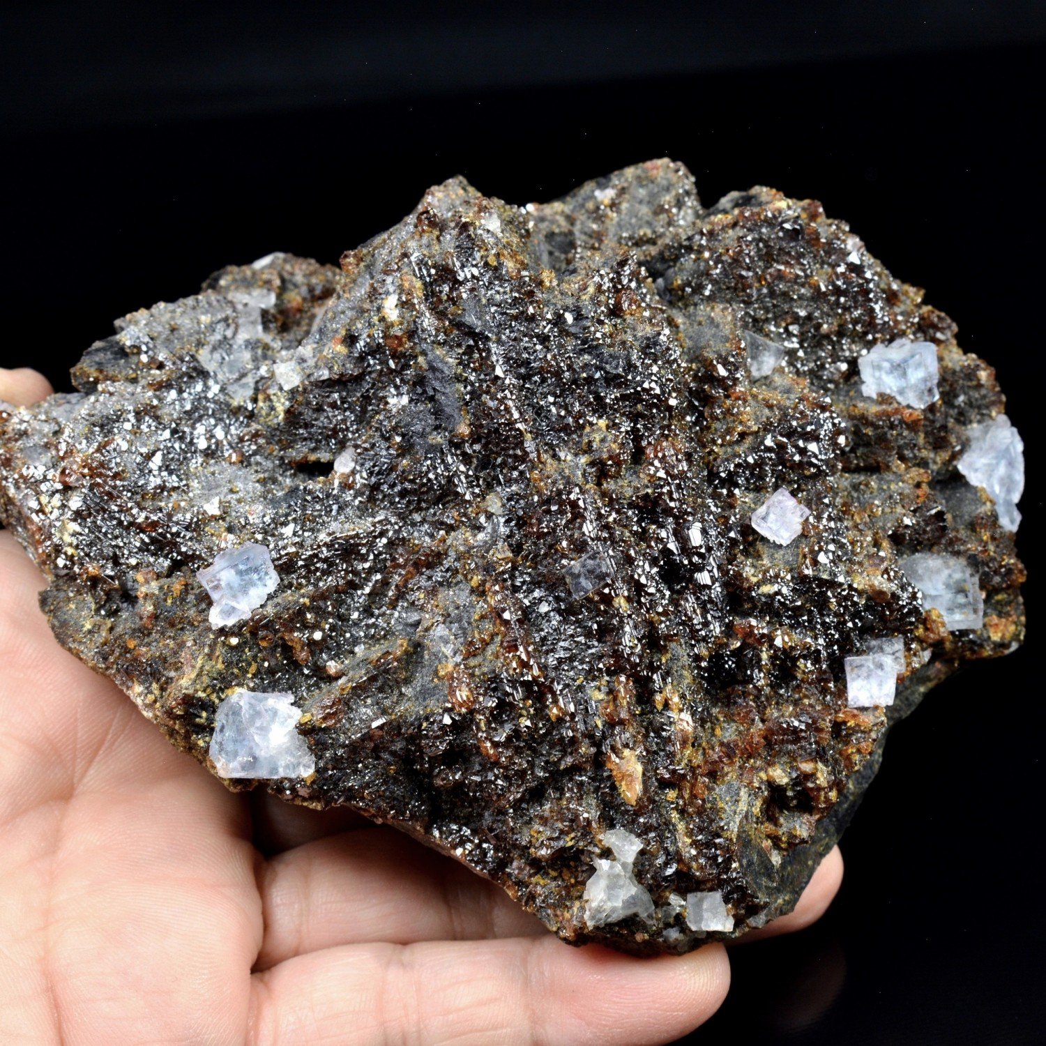 Sphalérite et fluorine – Mine d'Elmwood, Tennessee, États-Unis Sphalérite et fluorine – Mine d'Elmwood, Tennessee, États-Unis