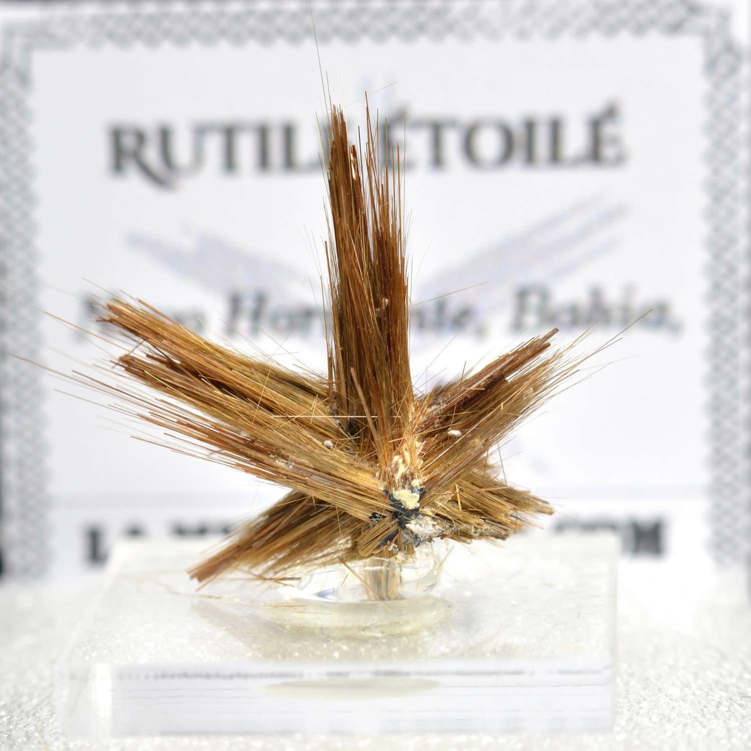 Star Rutile - Novo Horizonte, Bahia, Brazil