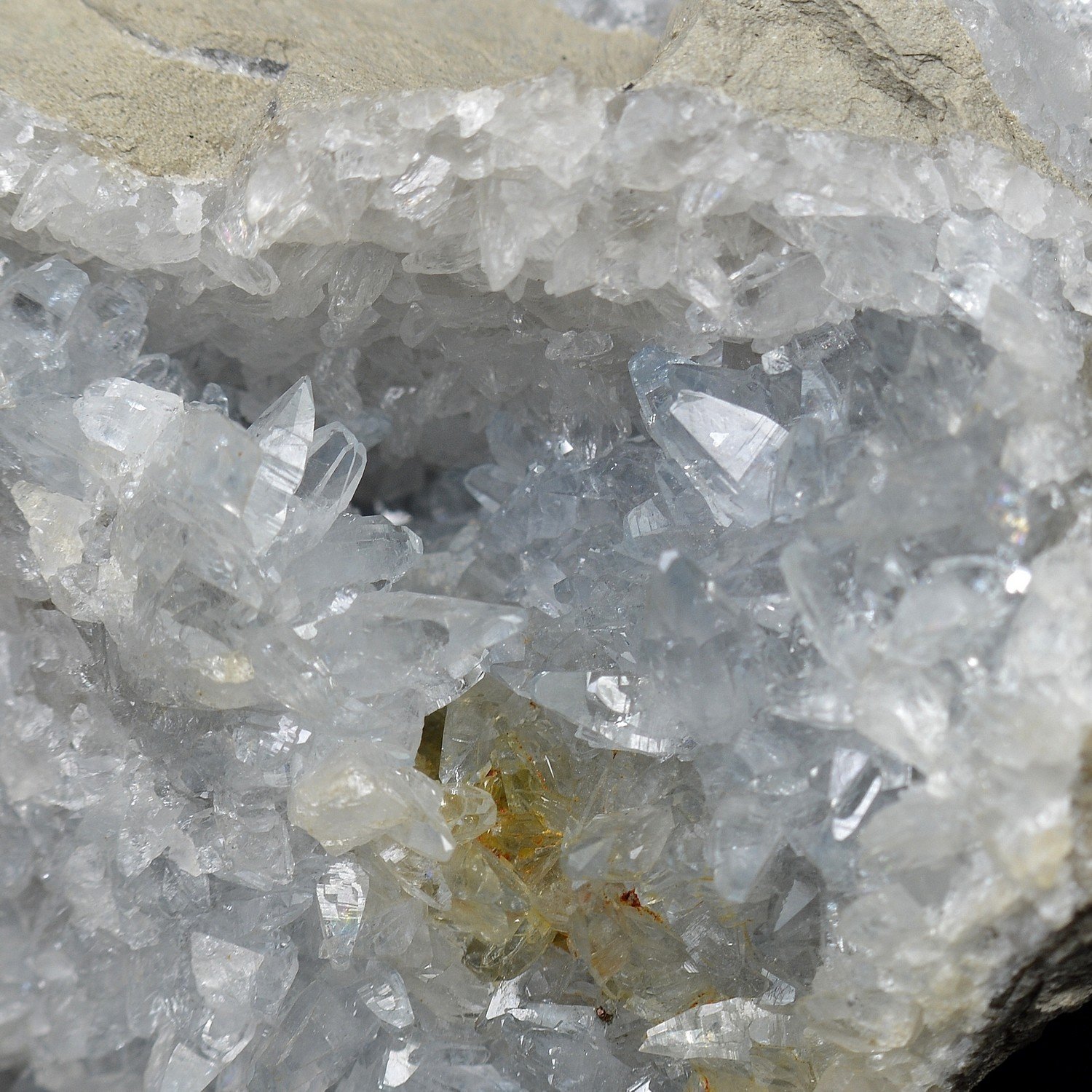 Celestine – Montalieu, Isère, France