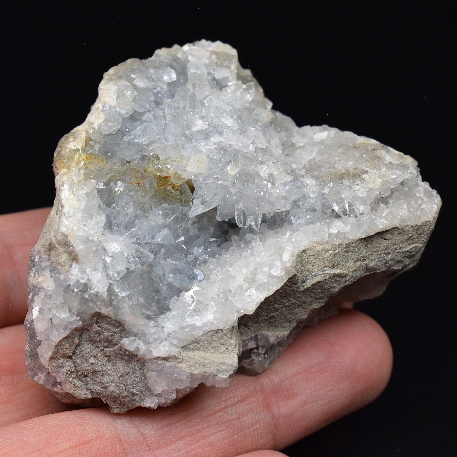 Celestine – Montalieu, Isère, France