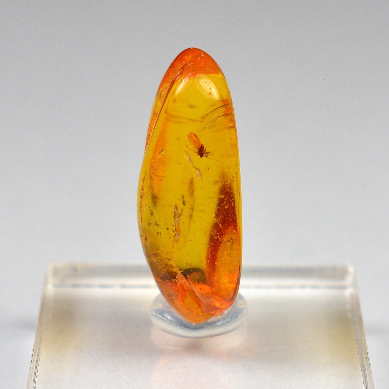 Baltic Amber with Insect Inclusion
