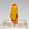 Baltic Amber with Insect Inclusion