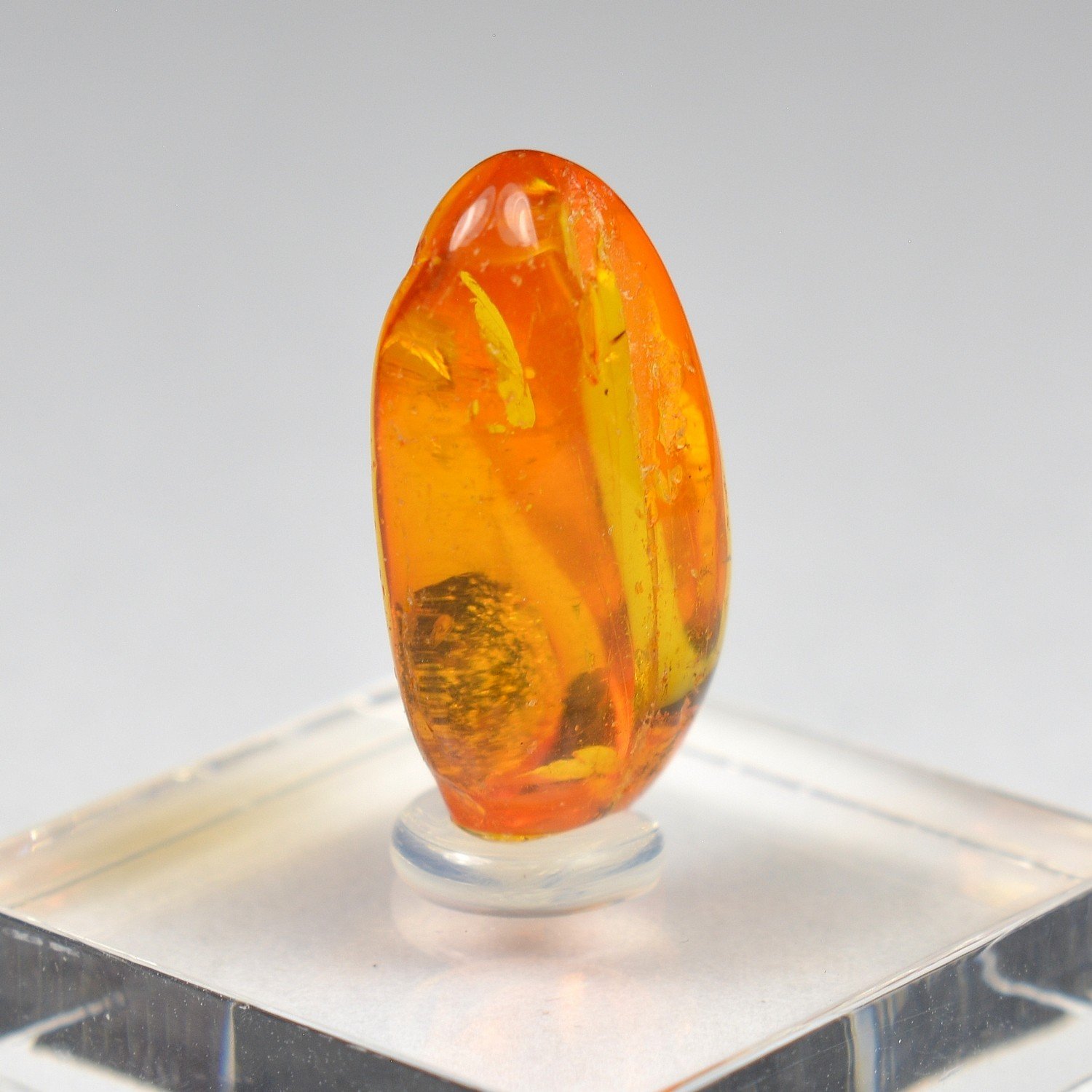 Baltic Amber with Insect Inclusion