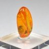 Baltic Amber with Insect Inclusion