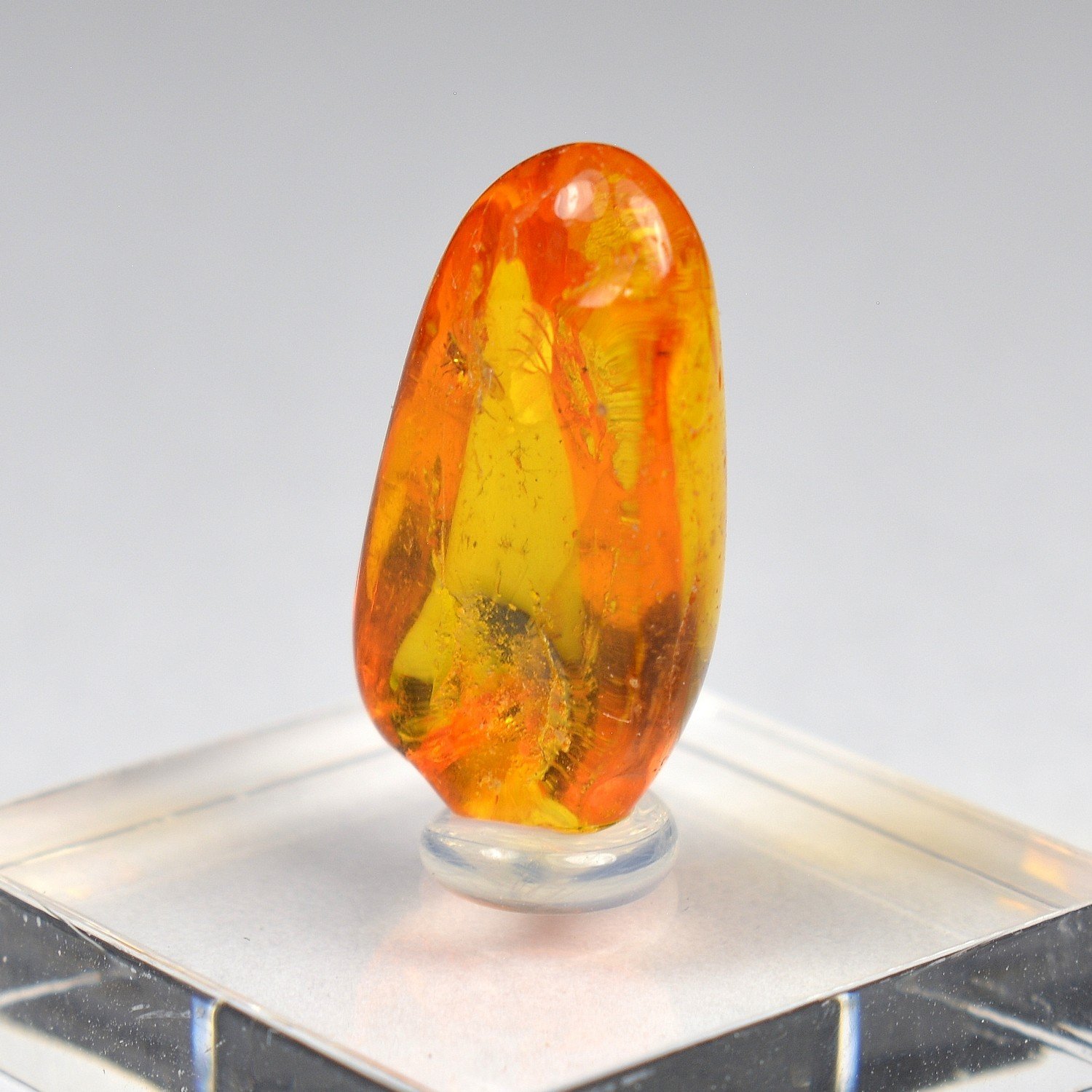 Baltic Amber with Insect Inclusion