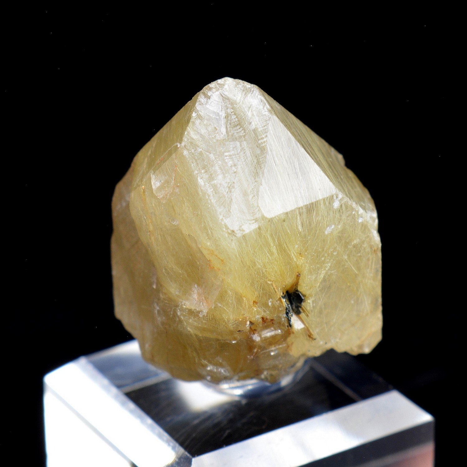 Quartz with rutile inclusions - Novo Horizonte, Bahia, Brazil