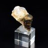 Tourmaline and quartz – Santec, Finistère, France