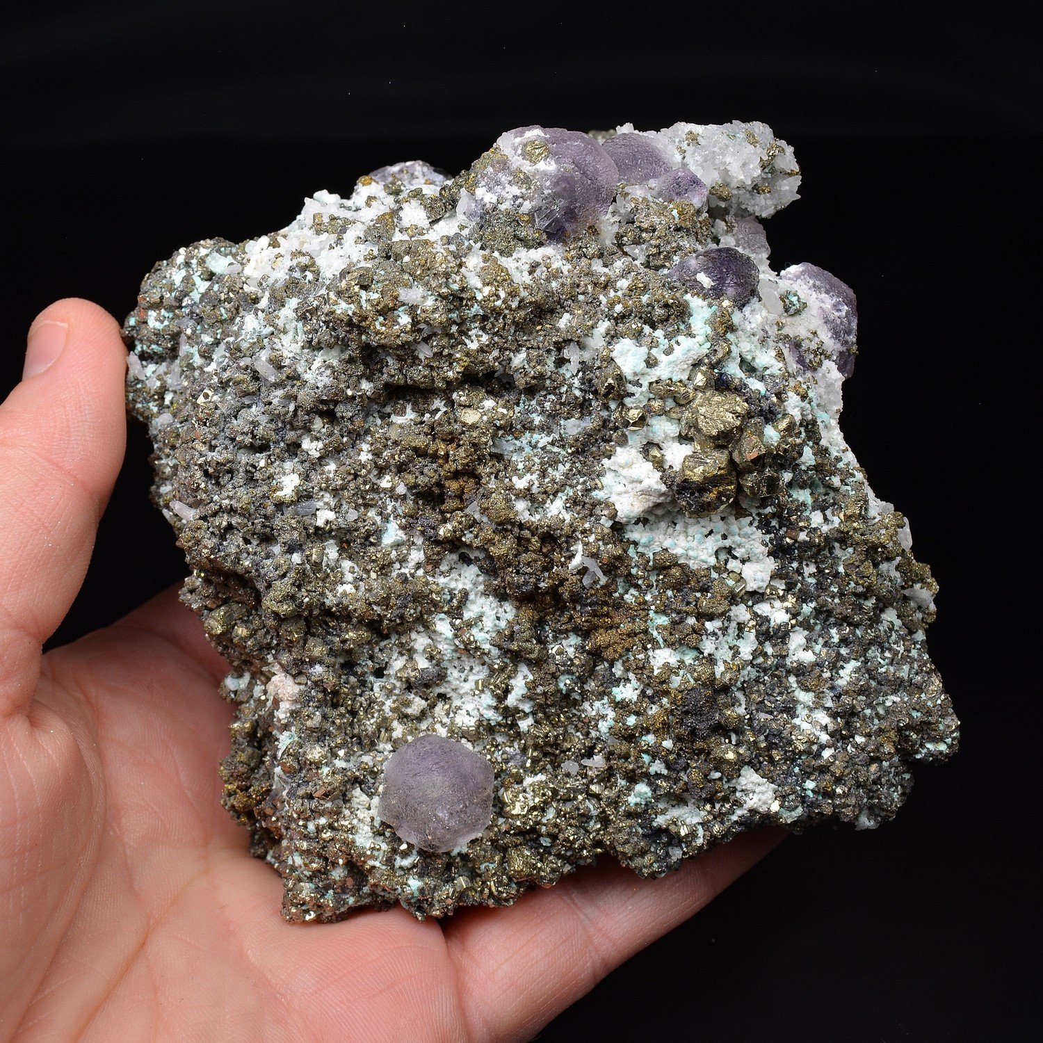 Fluorite and Pyrite – Huanzala Mine, Ancash, Peru Fluorite and Pyrite – Huanzala Mine, Ancash, Peru