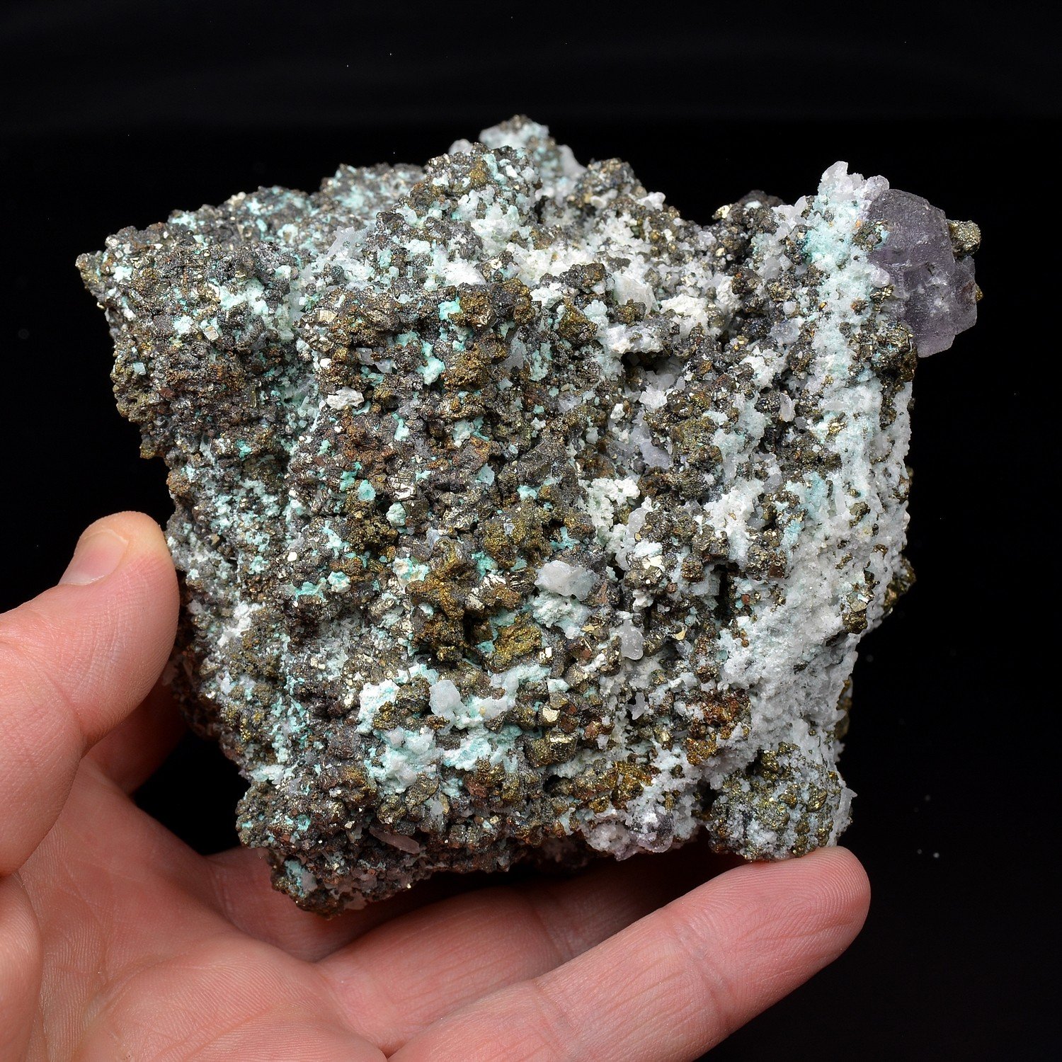 Fluorite and Pyrite – Huanzala Mine, Ancash, Peru Fluorite and Pyrite – Huanzala Mine, Ancash, Peru