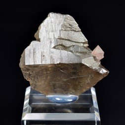 Fluorine rose sur quartz fumé – Aiguille du Moine, Massif du Mont-Blanc