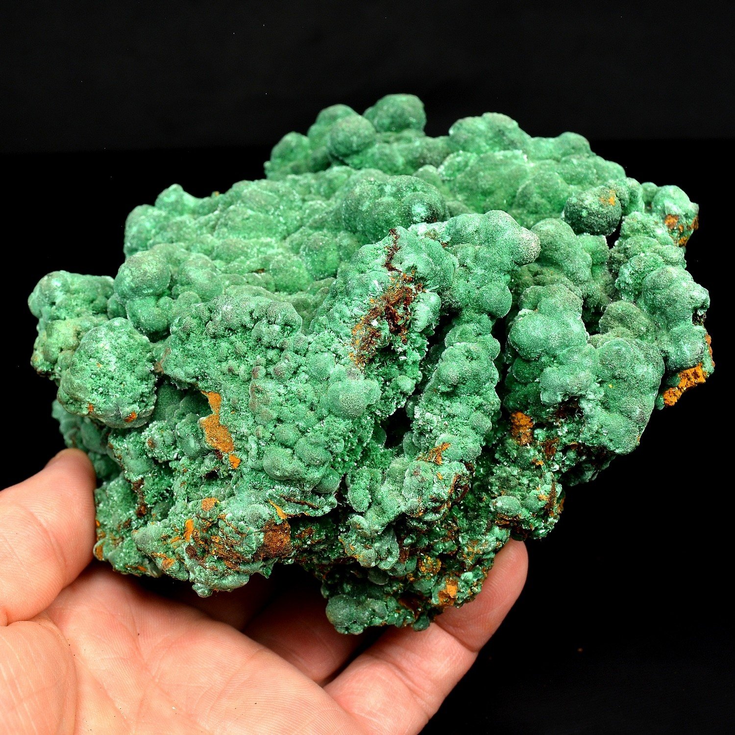 Malachite – Mine Qaleh Zari, province de Khorassan, Perse / Iran Malachite – Mine Qaleh Zari, province de Khorassan, Perse / Iran