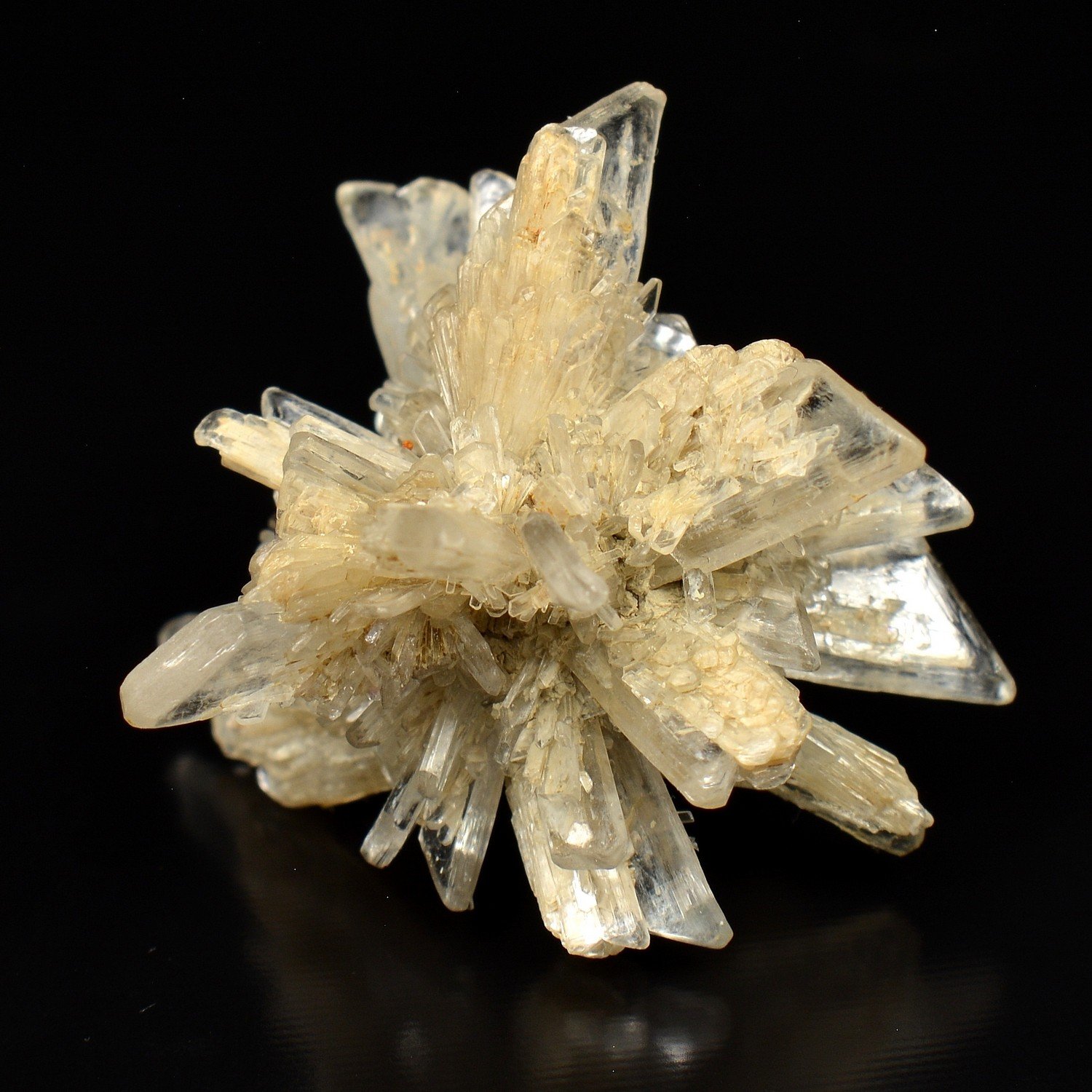 Gypsum – Breuillet, Essonne, France Gypsum – Breuillet, Essonne, France