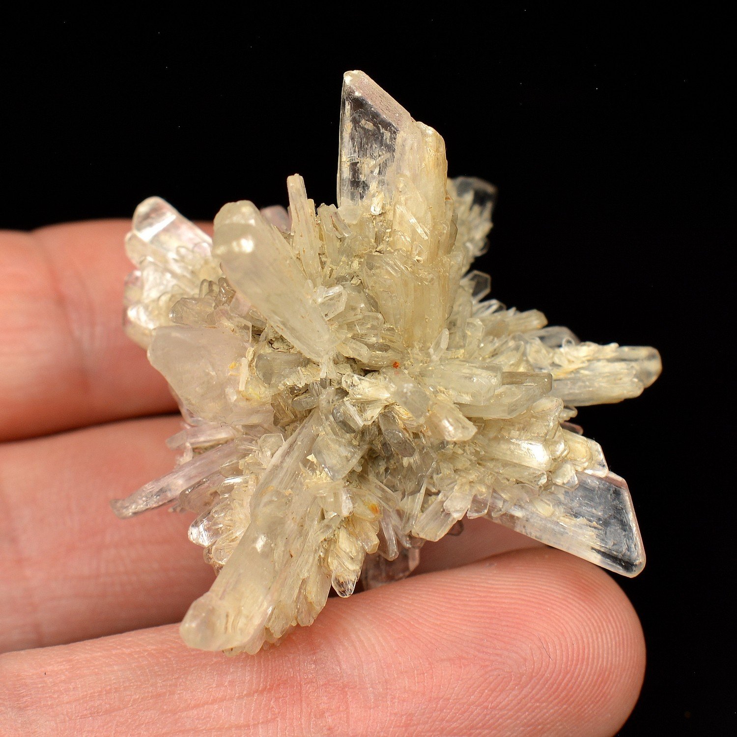 Gypsum – Breuillet, Essonne, France Gypsum – Breuillet, Essonne, France