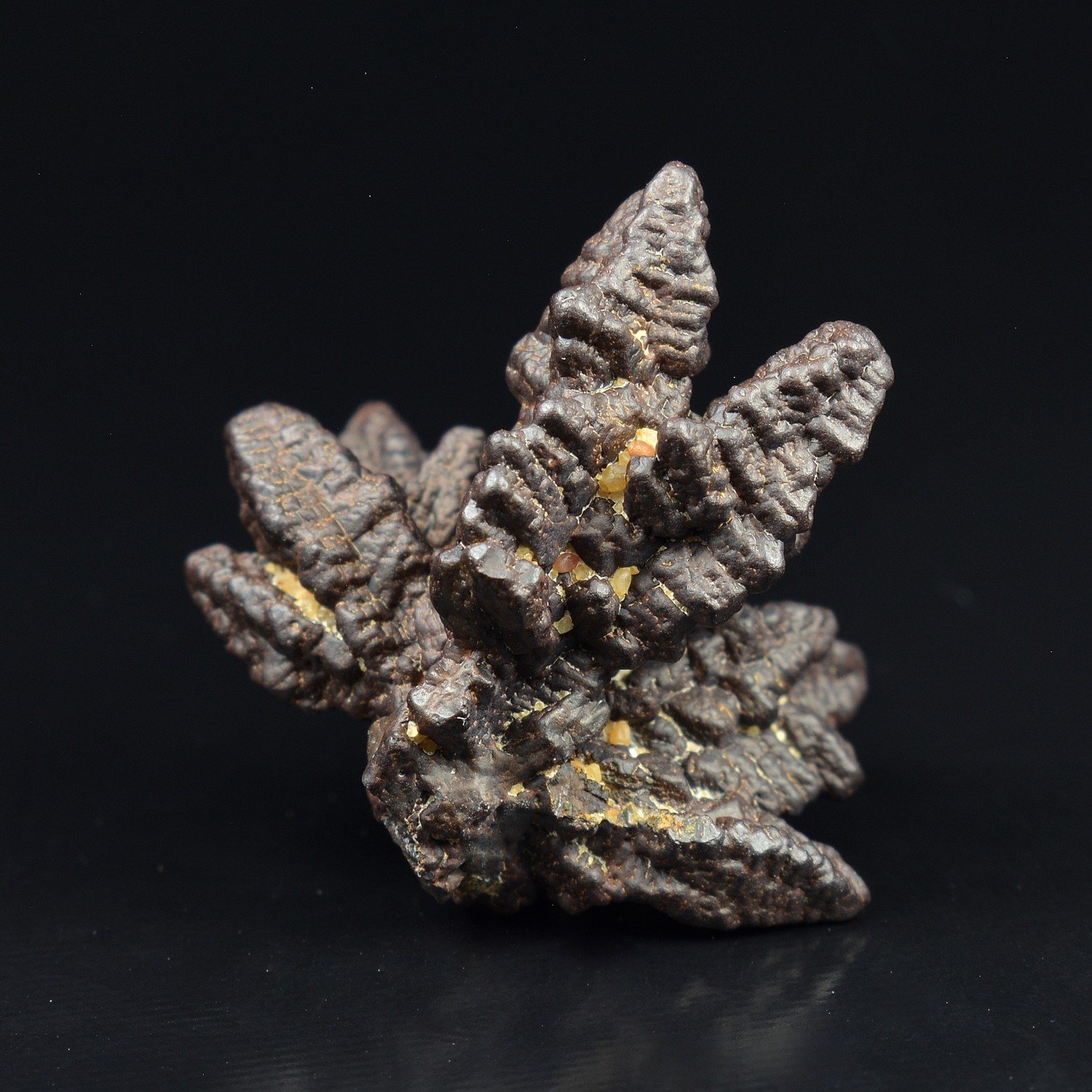 Marcasite pseudomorph of limonite - Farafa Oasis, White Desert, Egypt