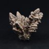 Marcasite pseudomorph of limonite - Farafa Oasis, White Desert, Egypt
