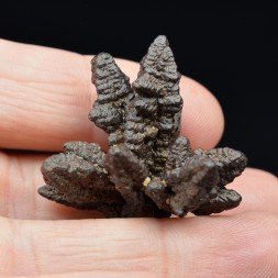Marcasite psm en limonite - Oasis Farafa, Désert Blanc, Egypte