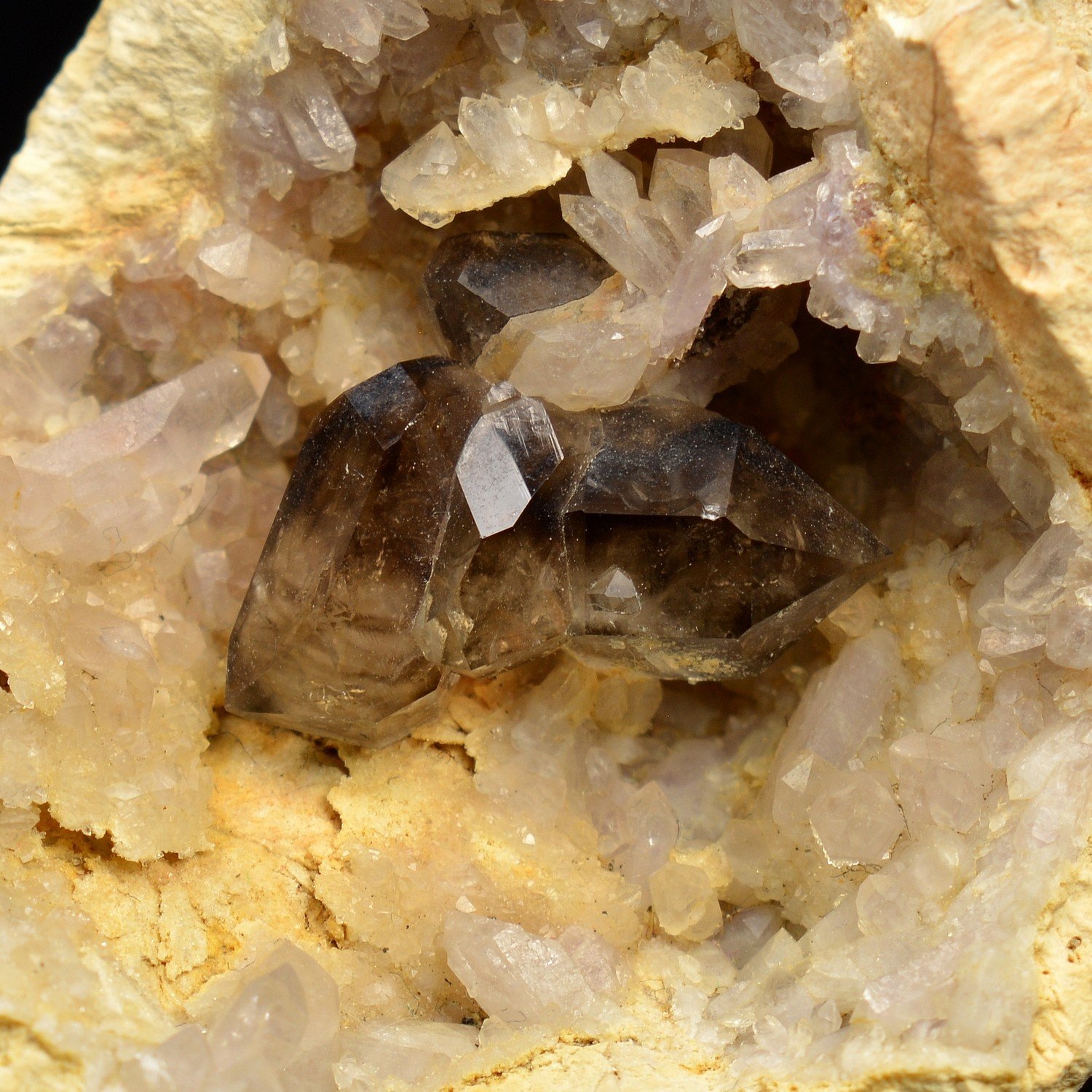 Quartz fumé dans une demi-géode de quartz – Mooralla, Australie