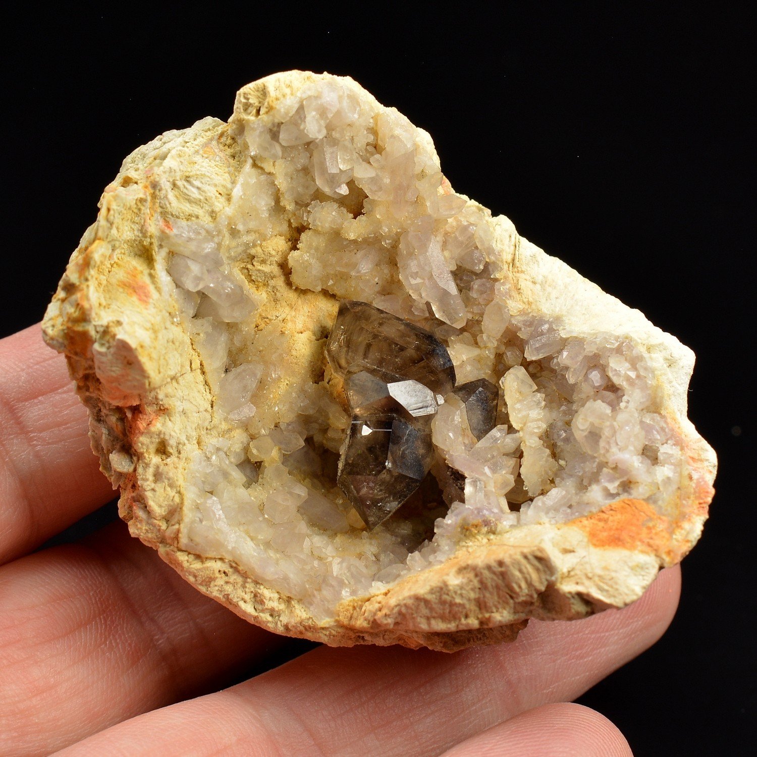 Smoky Quartz in a Half-Geode – Mooralla, Australia