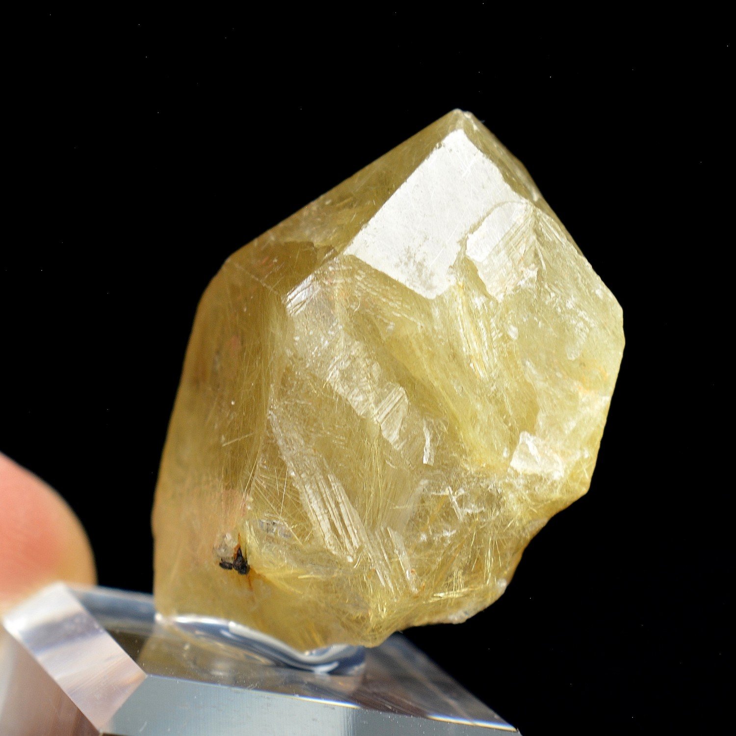 Quartz with rutile inclusions - Novo Horizonte, Bahia, Brazil