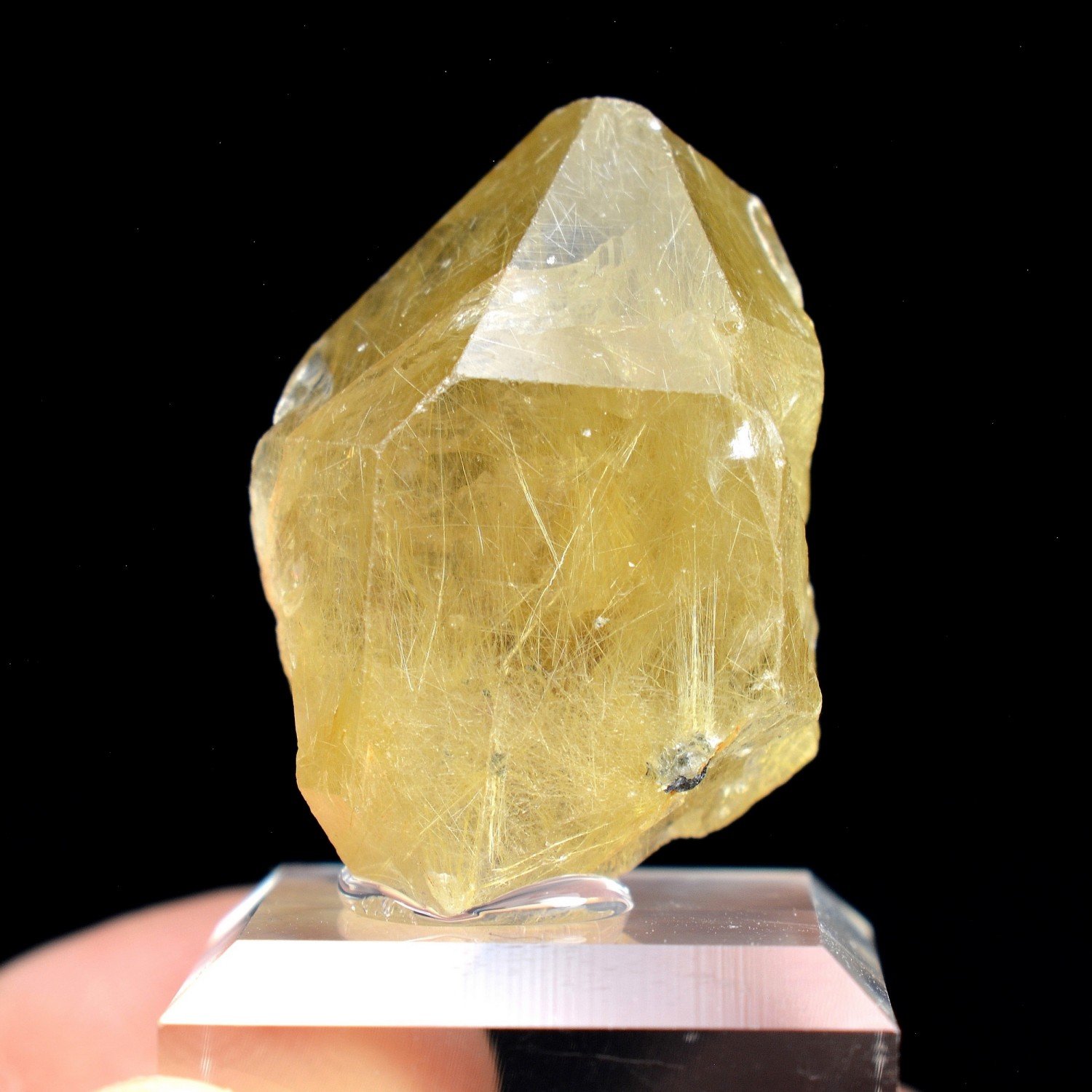 Quartz à inclusions de rutile - Novo Horizonte, Bahia, Brésil