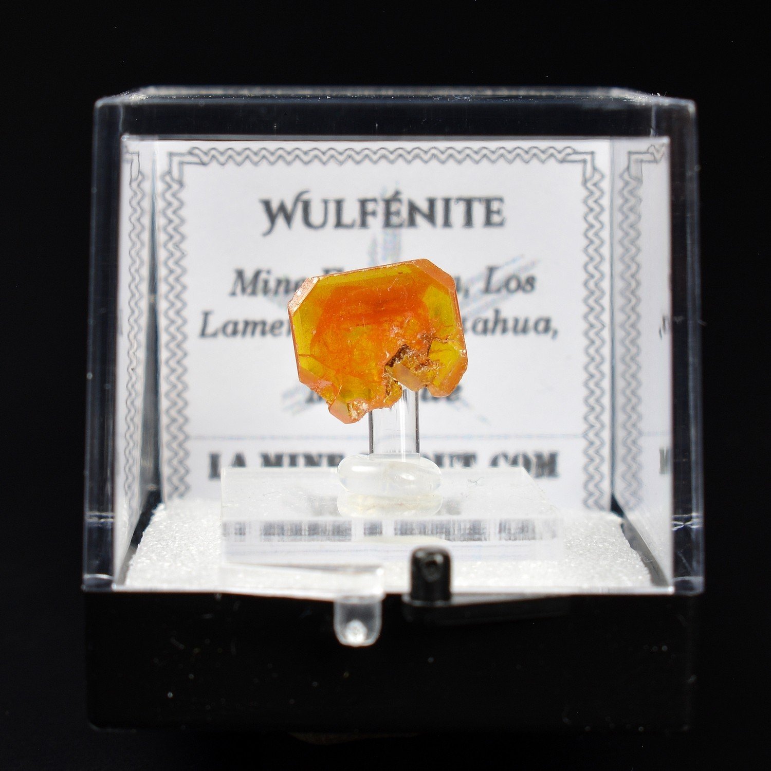 Wulfénite – Mine Erupción, Los Lamentos, Chihuahua, Mexique