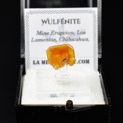 Wulfenite – Erupción Mine, Los Lamentos, Chihuahua, Mexico
