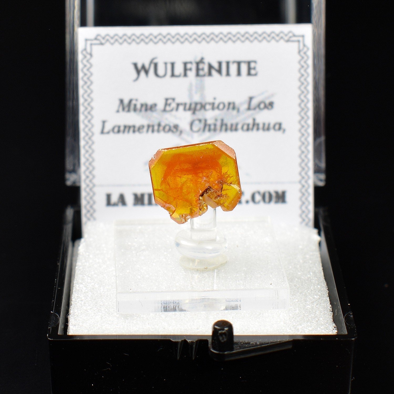 Wulfénite – Mine Erupción, Los Lamentos, Chihuahua, Mexique