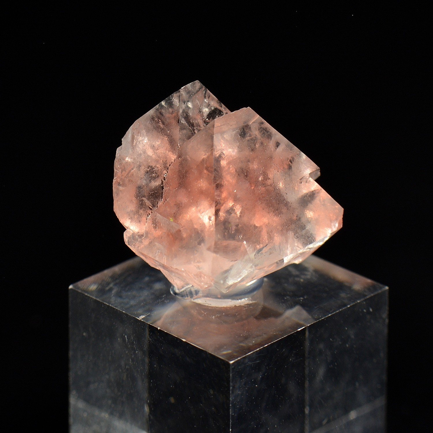 Fluorite rose - Aiguille du Moine, Haute-Savoie, France