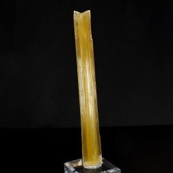 Gypsum - Pouillon, Landes, France