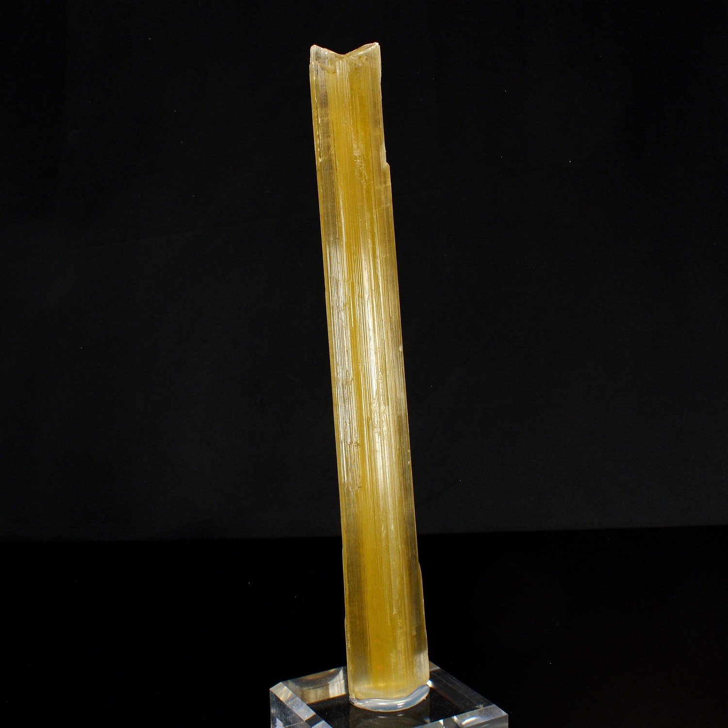 Gypsum - Pouillon, Landes, France Gypsum - Pouillon, Landes, France