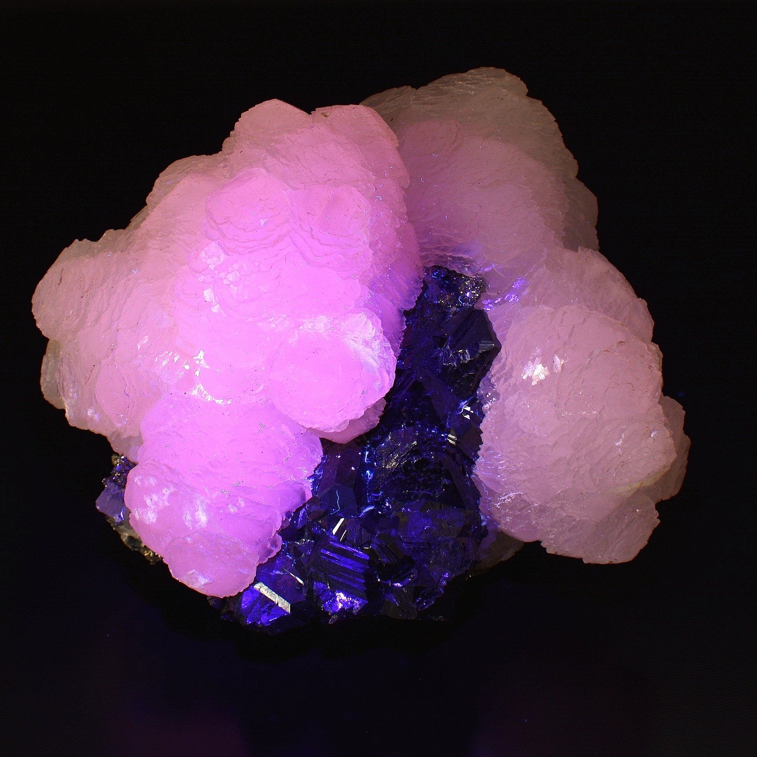 Calcite et sphalérite – Trepça, Kosovo Calcite et sphalérite – Trepça, Kosovo