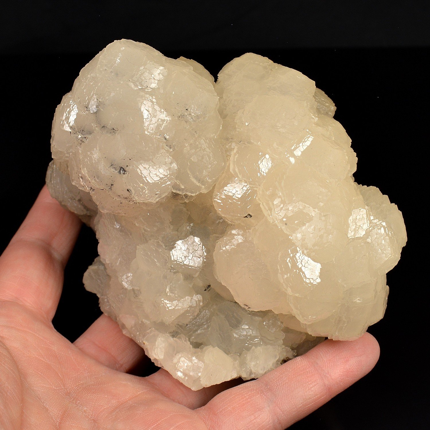 Calcite et sphalérite – Trepça, Kosovo Calcite et sphalérite – Trepça, Kosovo