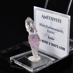Améthyste - Mine Kakamunurle, Karur, Inde