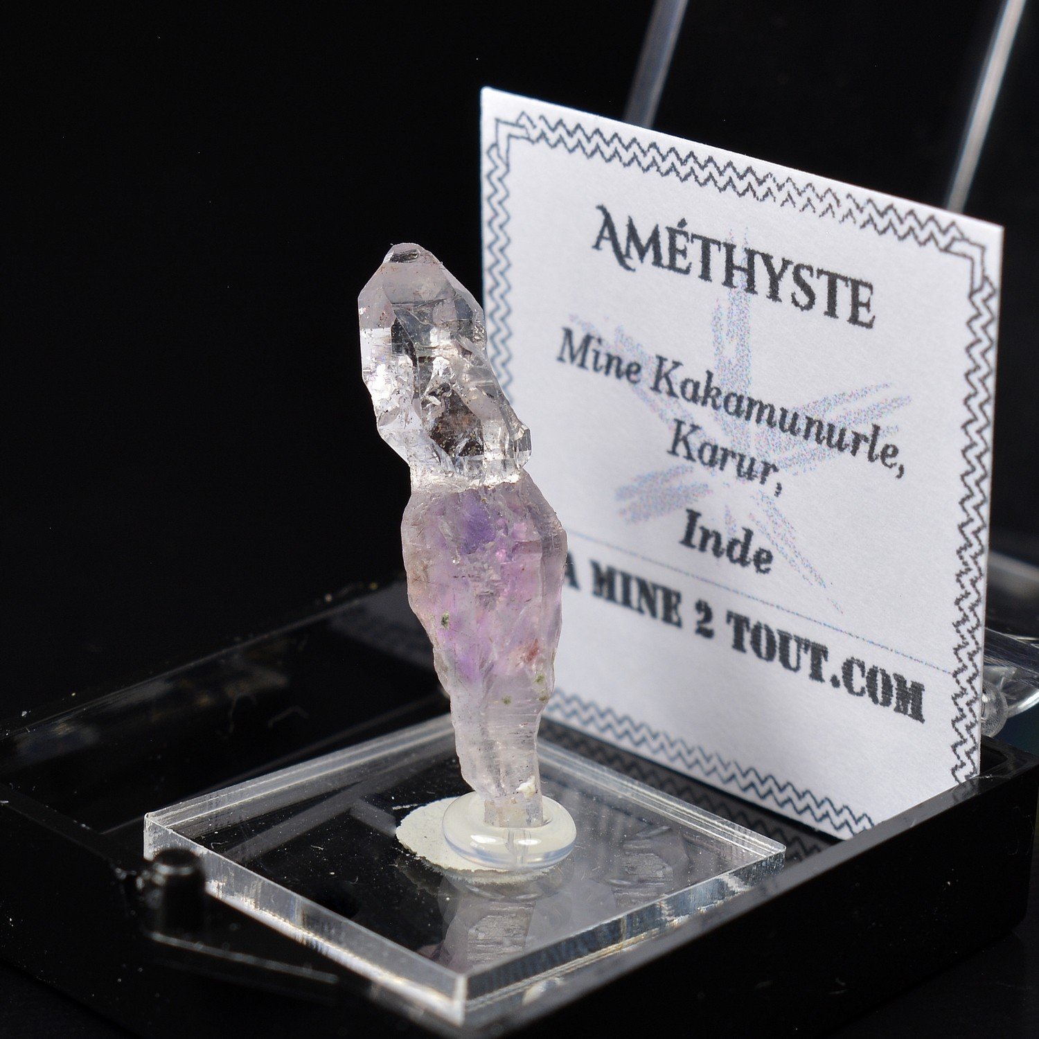 Améthyste - Mine Kakamunurle, Karur, Inde