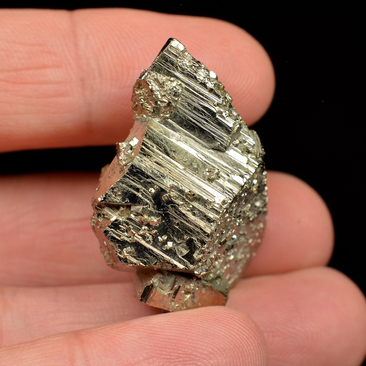 Pyrite rhomboédrique – Mine Borieva, Madan, Bulgarie
