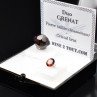 Grenat – DUO cristal naturel et gemme taillée Grenat – DUO cristal naturel et gemme taillée