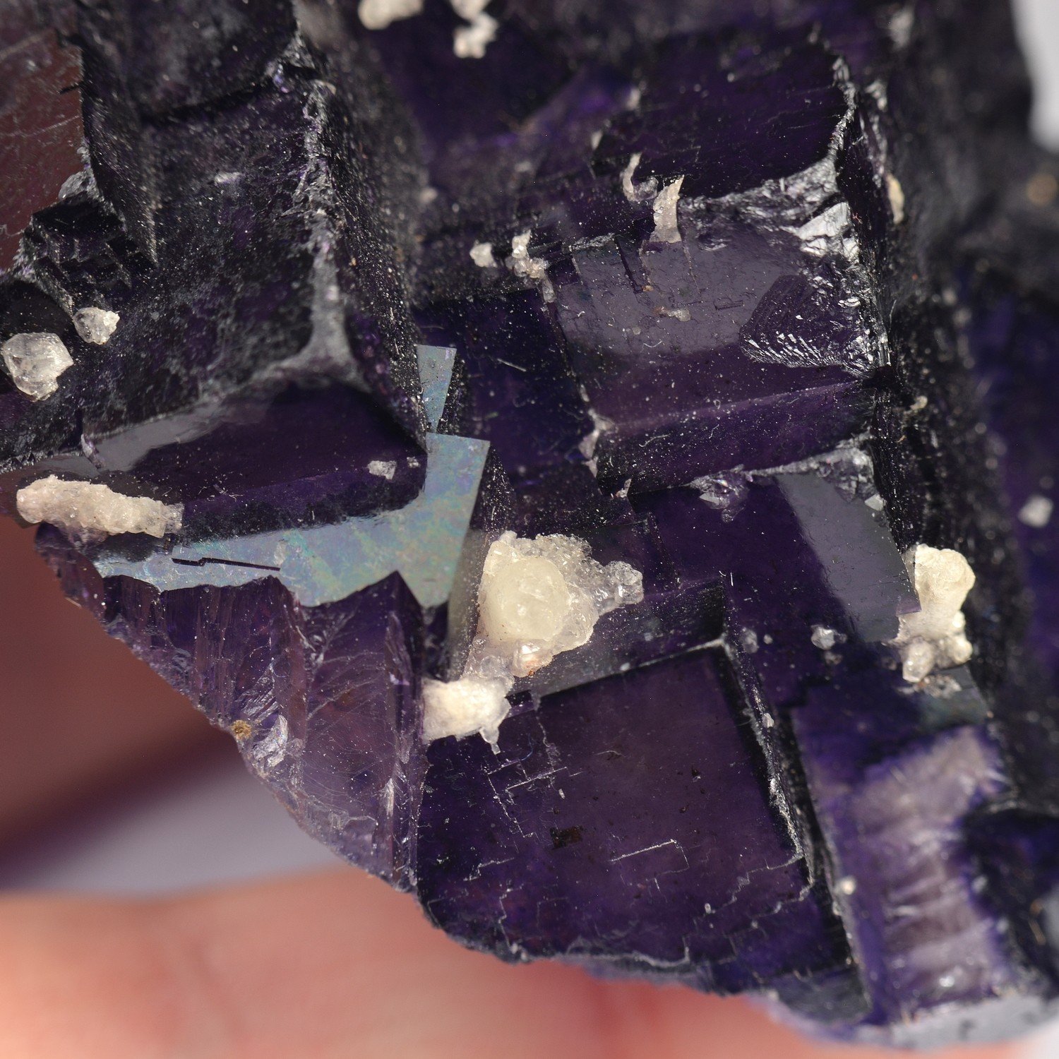 Fluorite – Cave-in-Rock, Illinois, USA