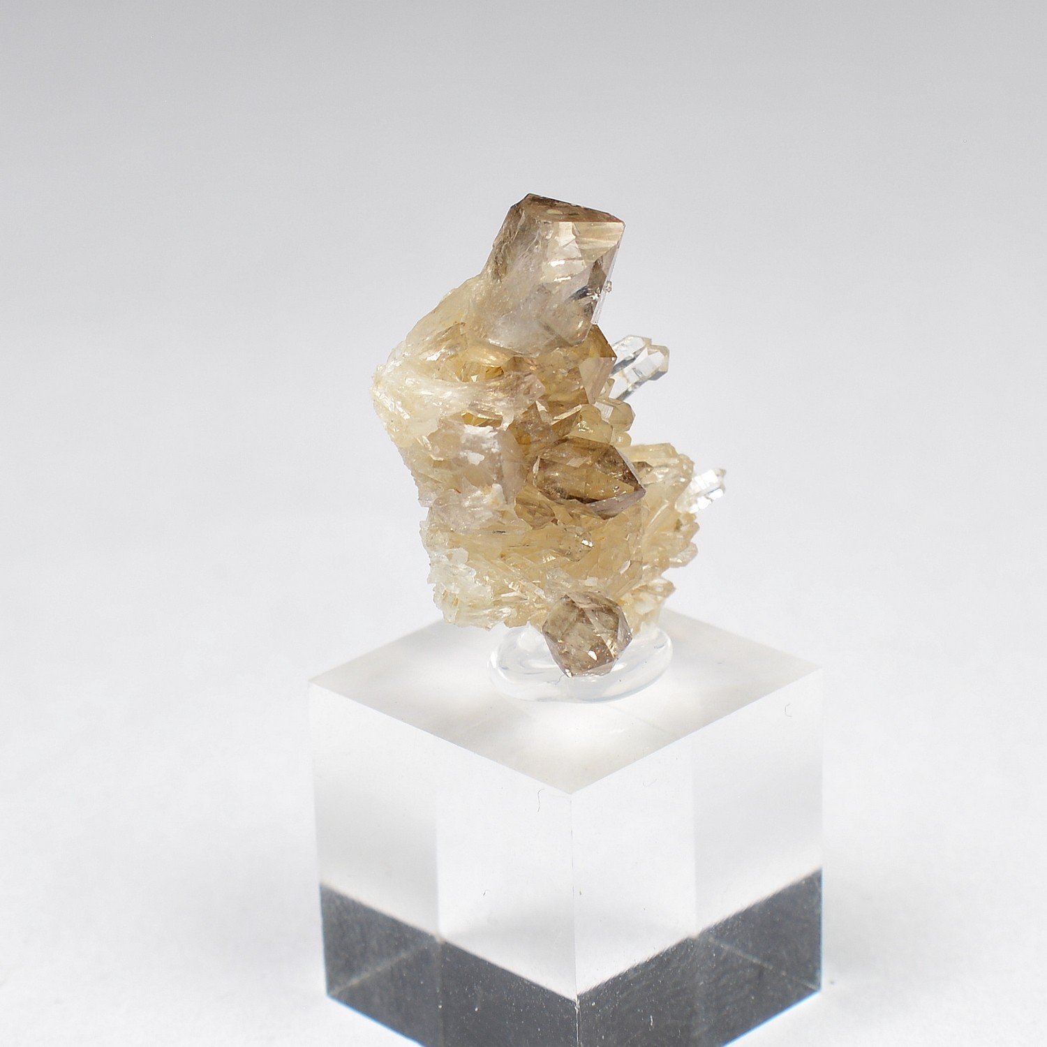 Smoky Quartz on Quartz - Brest Harbor, Finistère, France