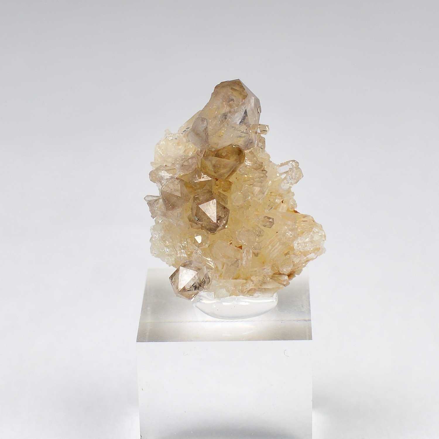 Smoky Quartz on Quartz - Brest Harbor, Finistère, France