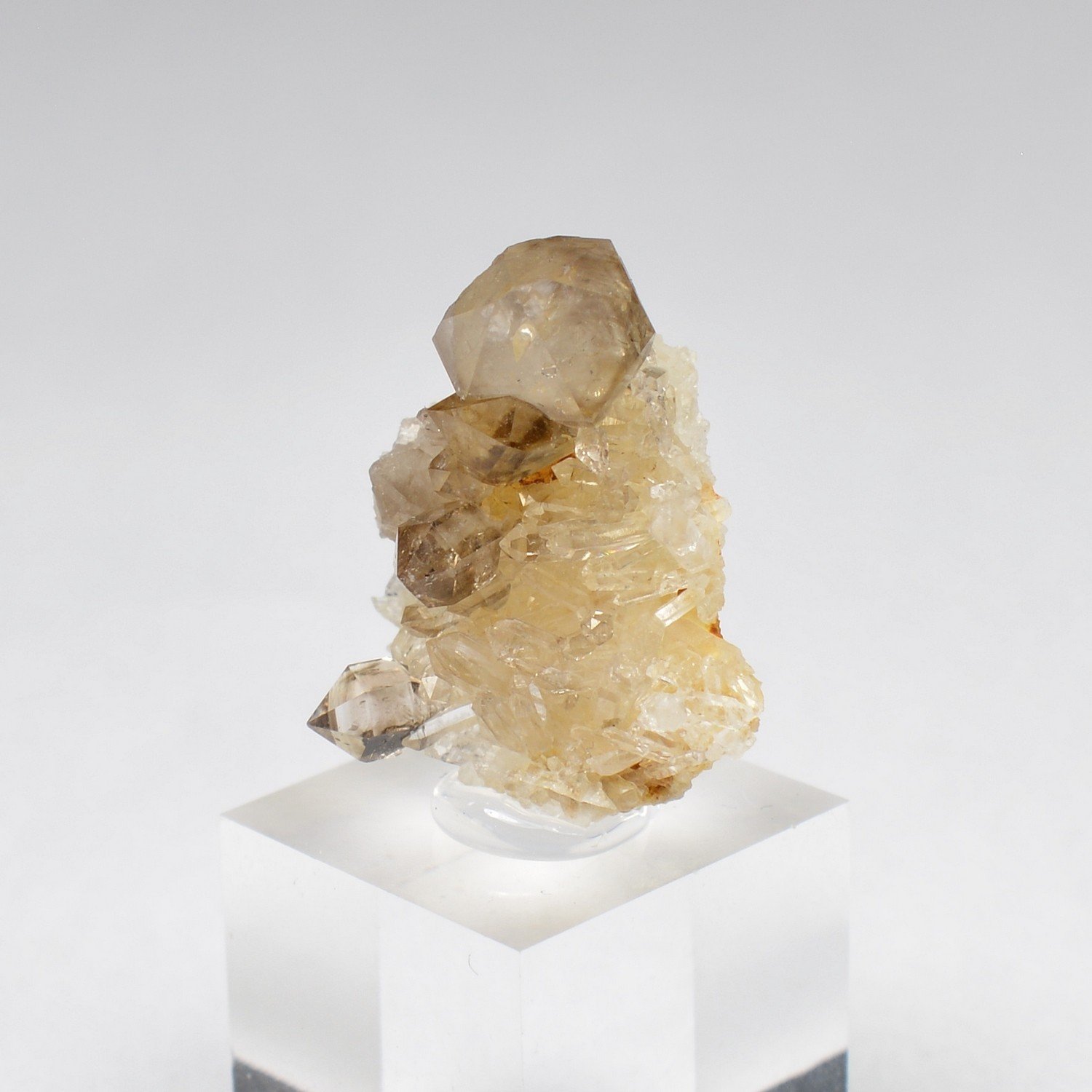 Quartz fumé sur quartz - Rade de Brest, Finistère, France