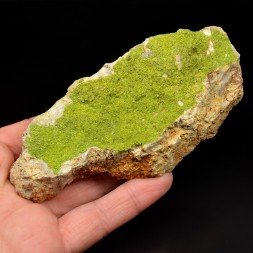 Pyromorphite - Secteur de Poullaouen, Finistère, France