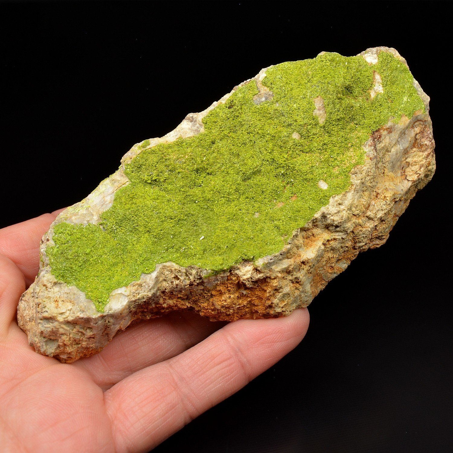 Pyromorphite - Secteur de Poullaouen, Finistère, France