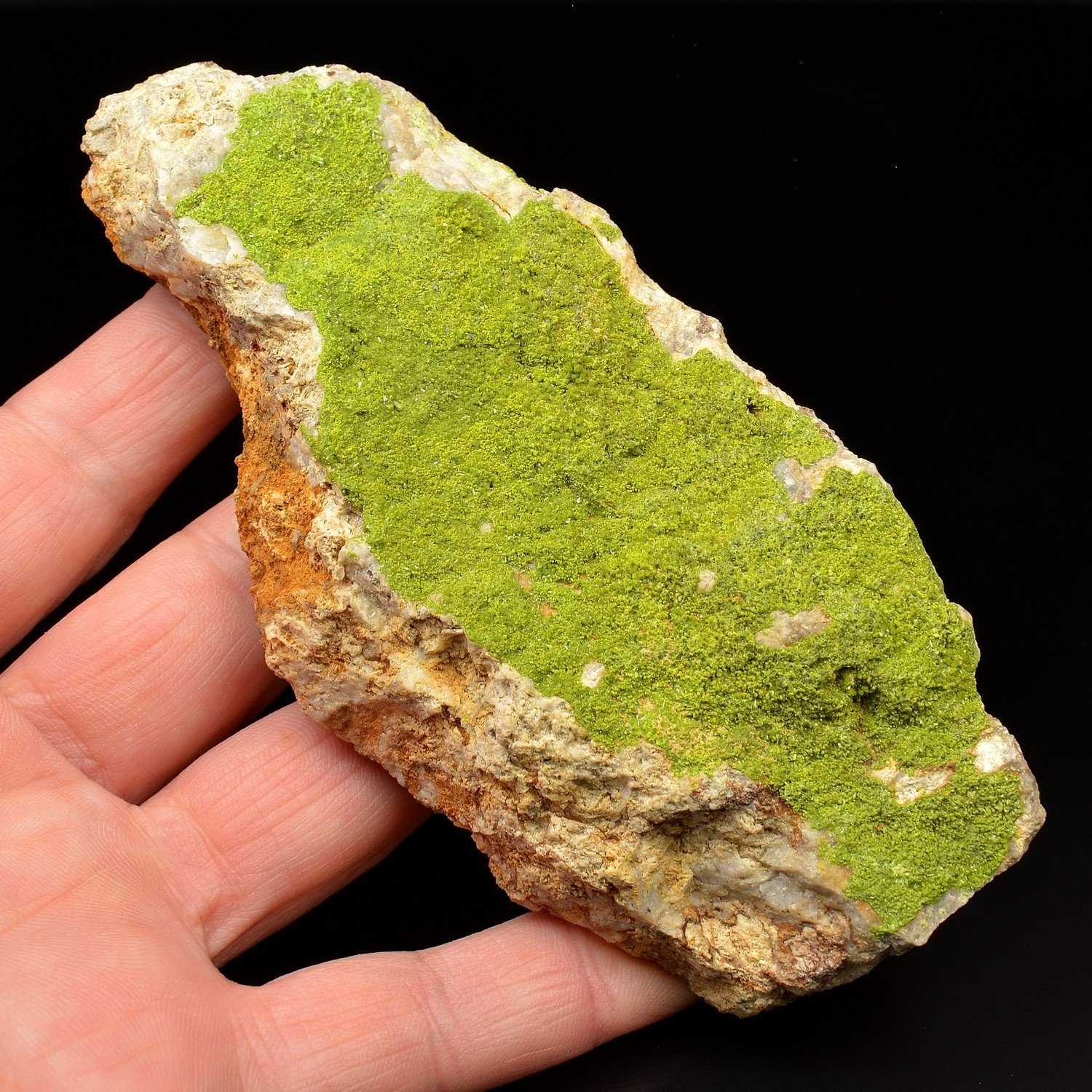 Pyromorphite - Poullaouen Area, Finistère, France