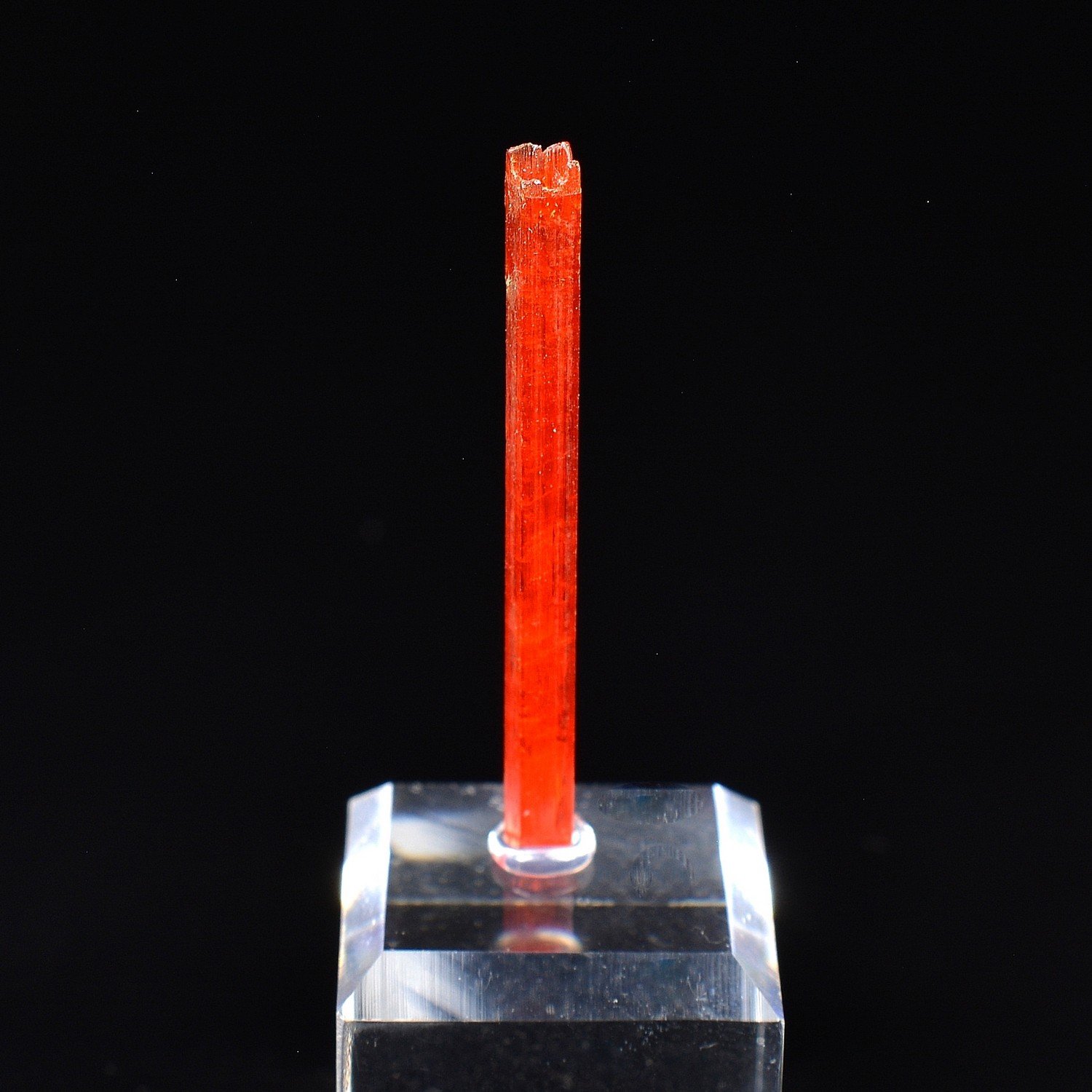 Crocoïte - Mine Red Lead, Tasmanie, Australie Crocoïte - Mine Red Lead, Tasmanie, Australie