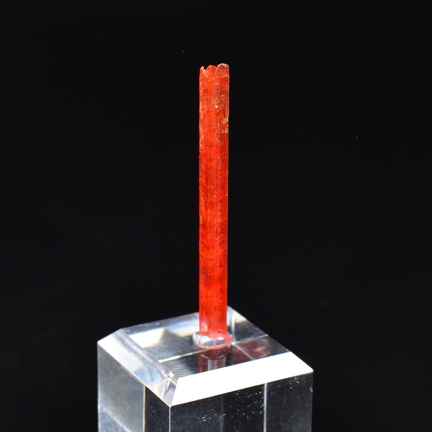 Crocoïte - Mine Red Lead, Tasmanie, Australie Crocoïte - Mine Red Lead, Tasmanie, Australie