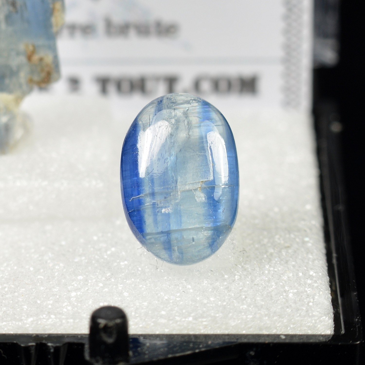 Cyanite bleue – DUO cristal naturel et cabochon Cyanite bleue – DUO cristal naturel et cabochon