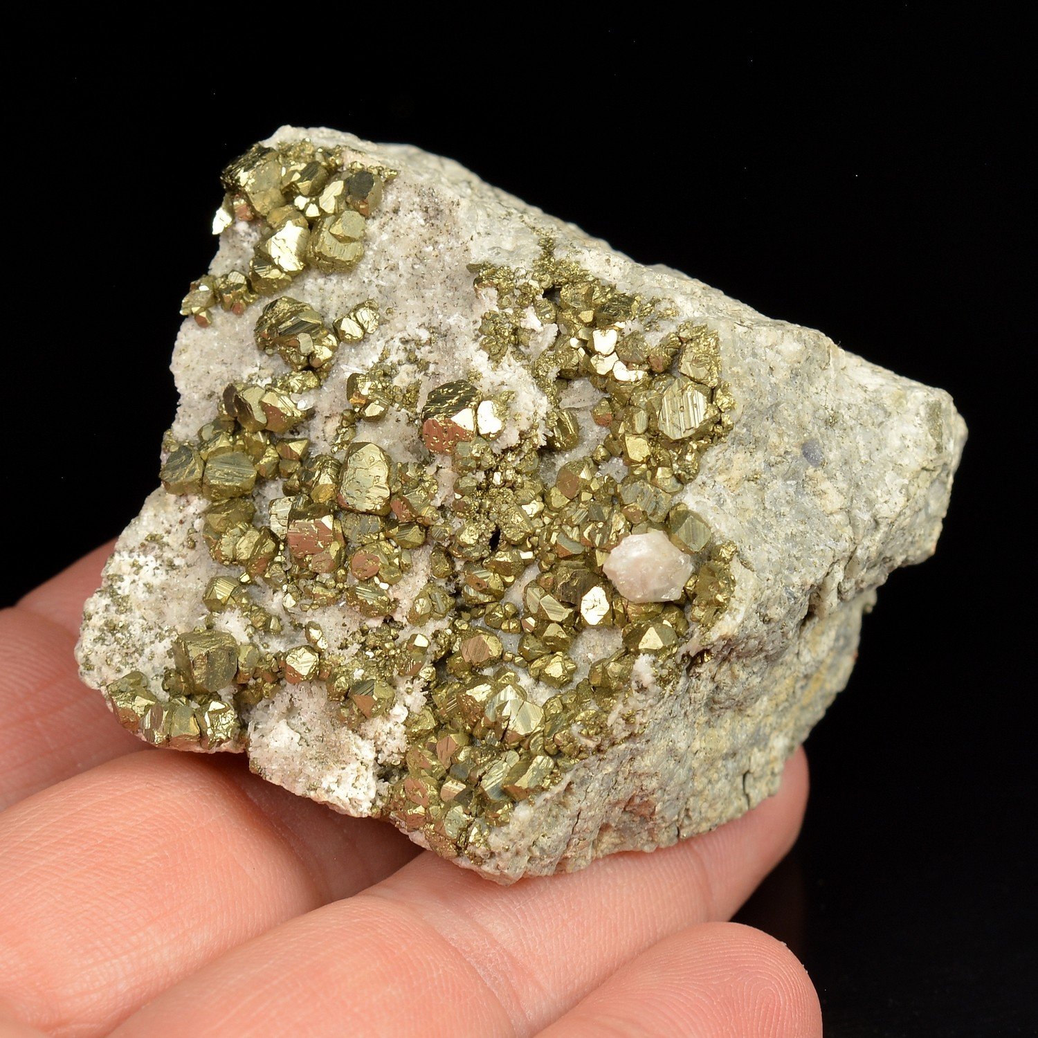 Pyrite - Aiguebonne, Var, France Pyrite - Aiguebonne, Var, France