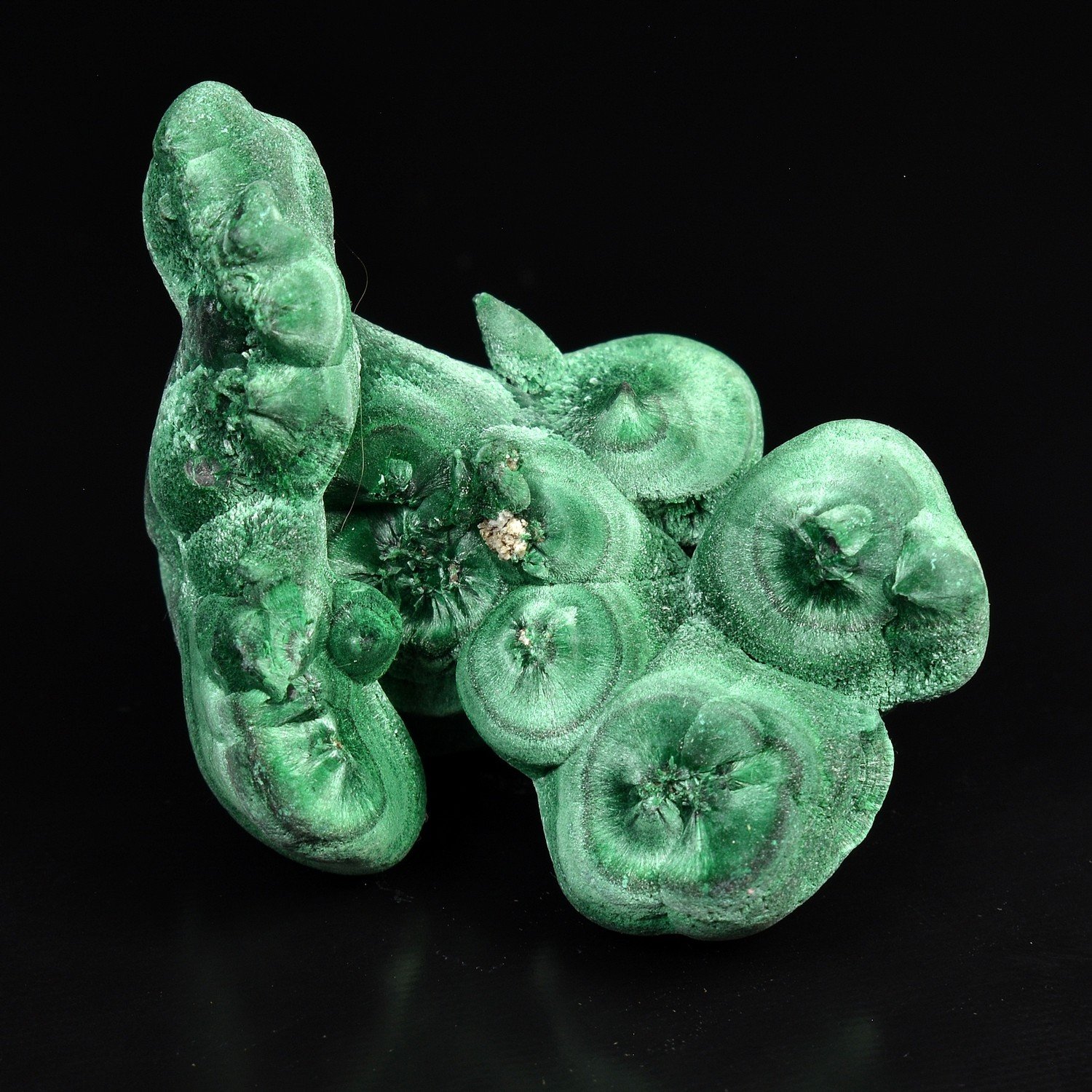 Malachite fibreuse - Katanga, RD Congo Malachite fibreuse - Katanga, RD Congo